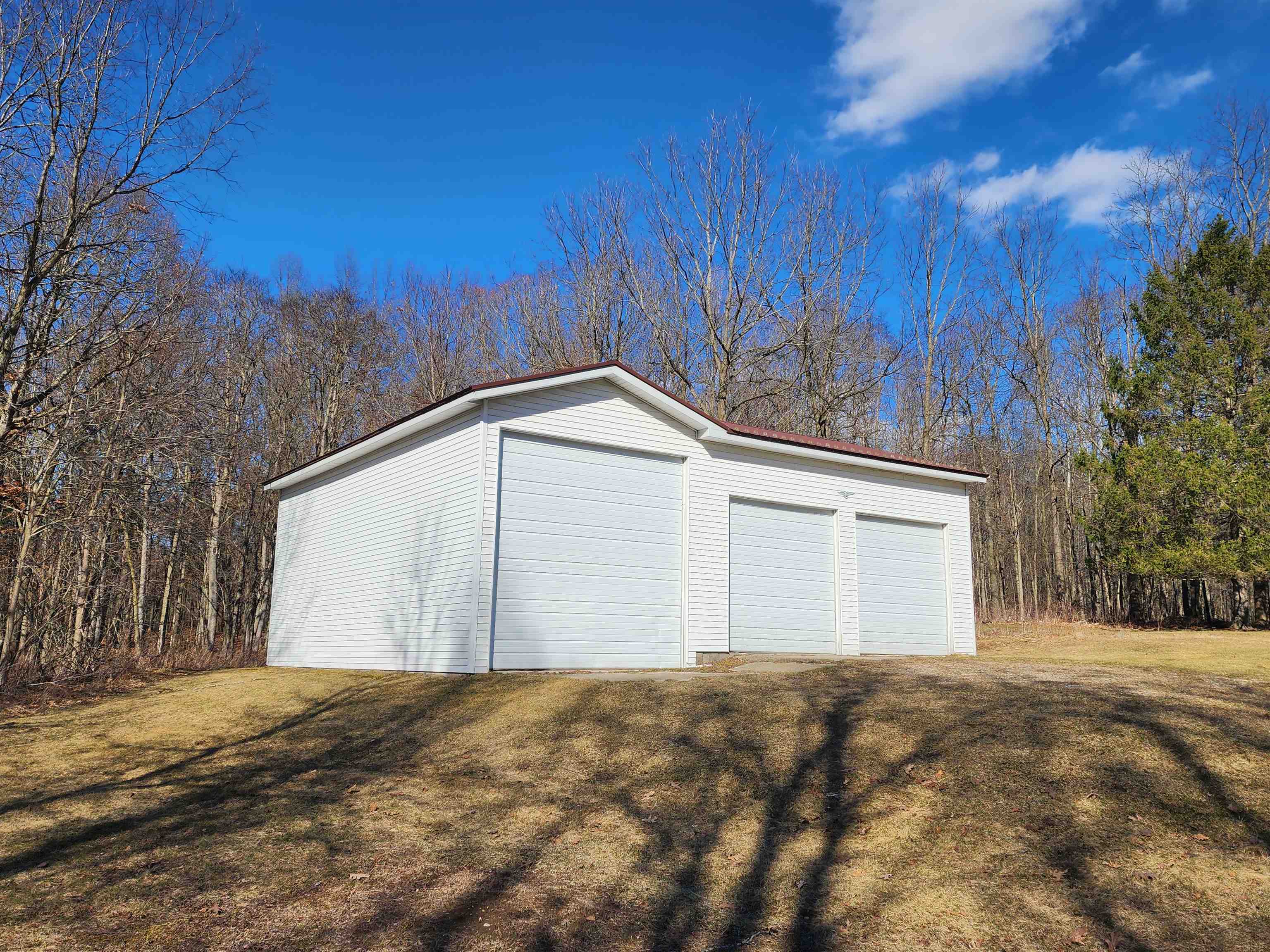 7495 McBride's Road Edmore, MI 48829 - Photo 2 of 38