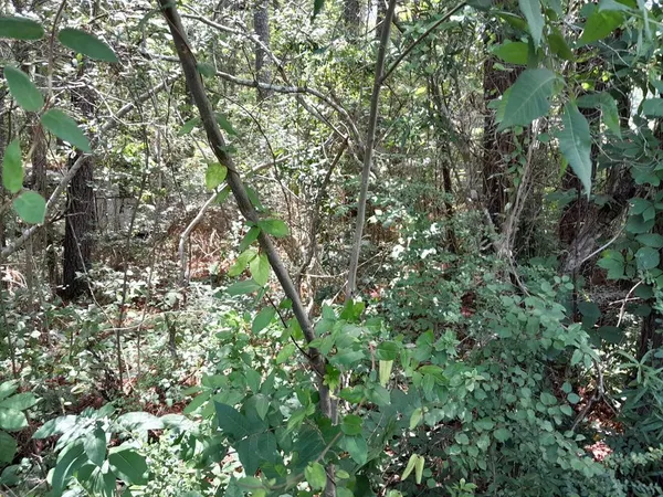$160,000 | 110 Baron Drive, Pineville, SC 29468