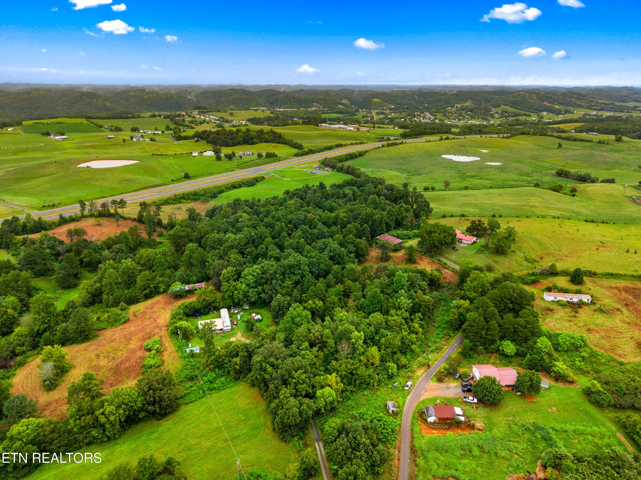 0 Cottage Road Parrottsville, TN 37843 - Photo 14 of 17 Gallery Image 14