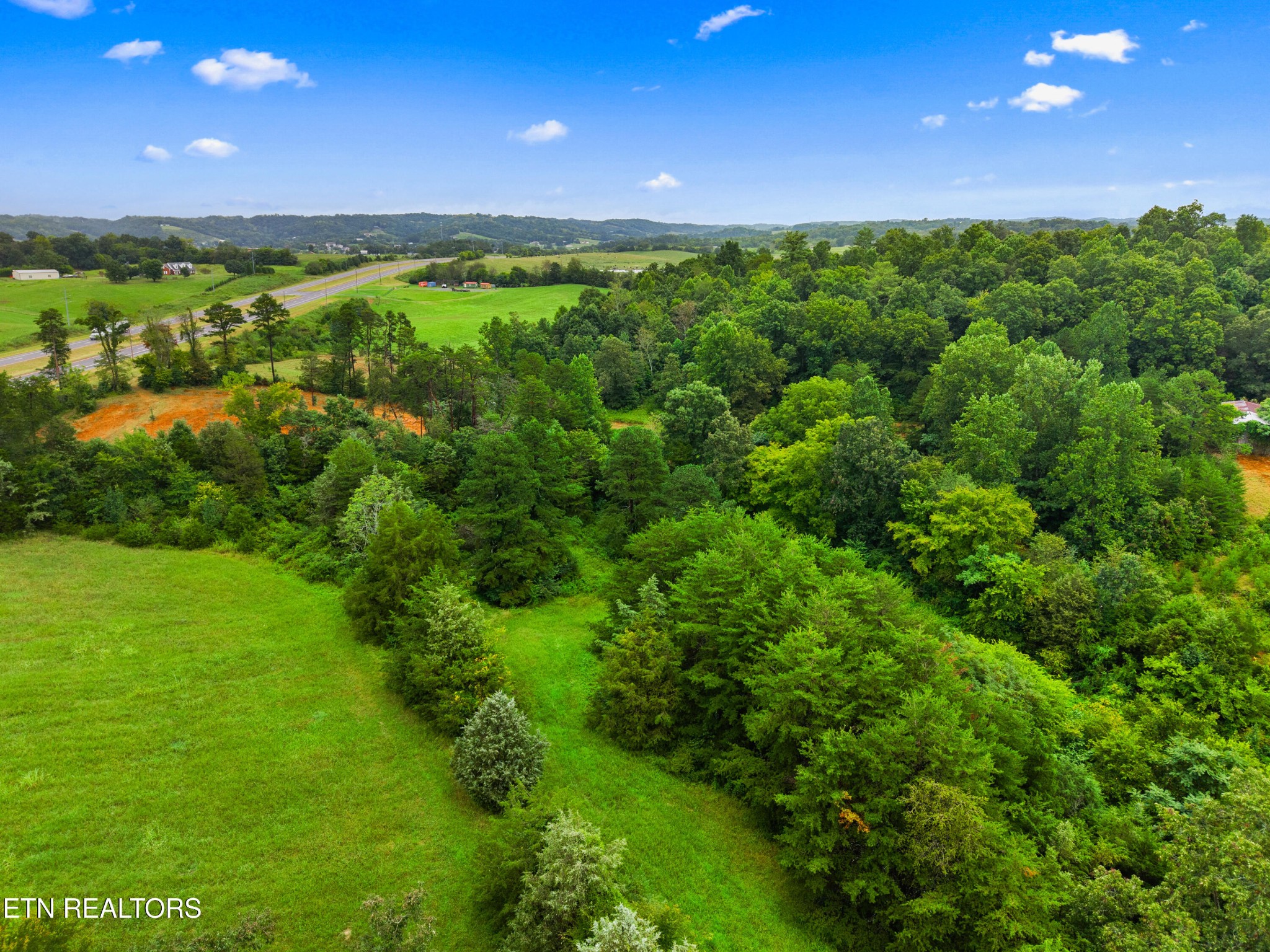 0 Cottage Road Parrottsville, TN 37843 - Photo 16 of 17 Gallery Image 16