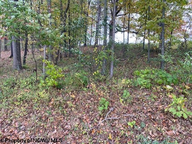 6-acres Hidden Valley Road Jane Lew, WV 26378 - Photo 2 of 10 Gallery Image 2
