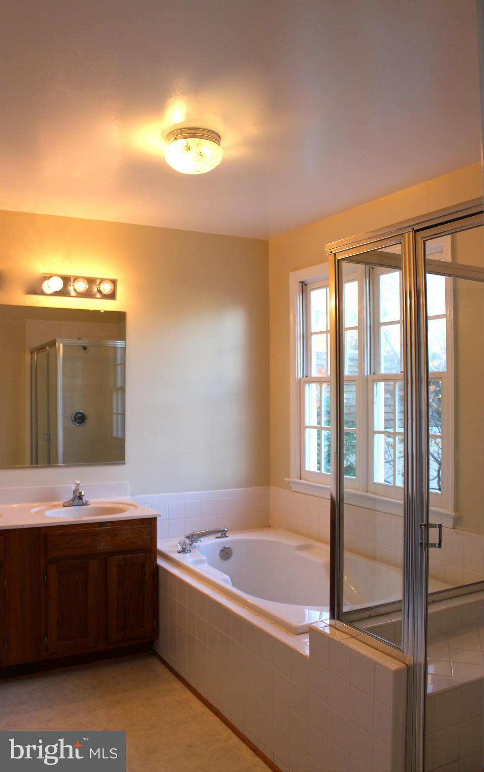 223 Little Quarry Road Gaithersburg, MD 20878 - Photo 10 of 14 Bath (Master)