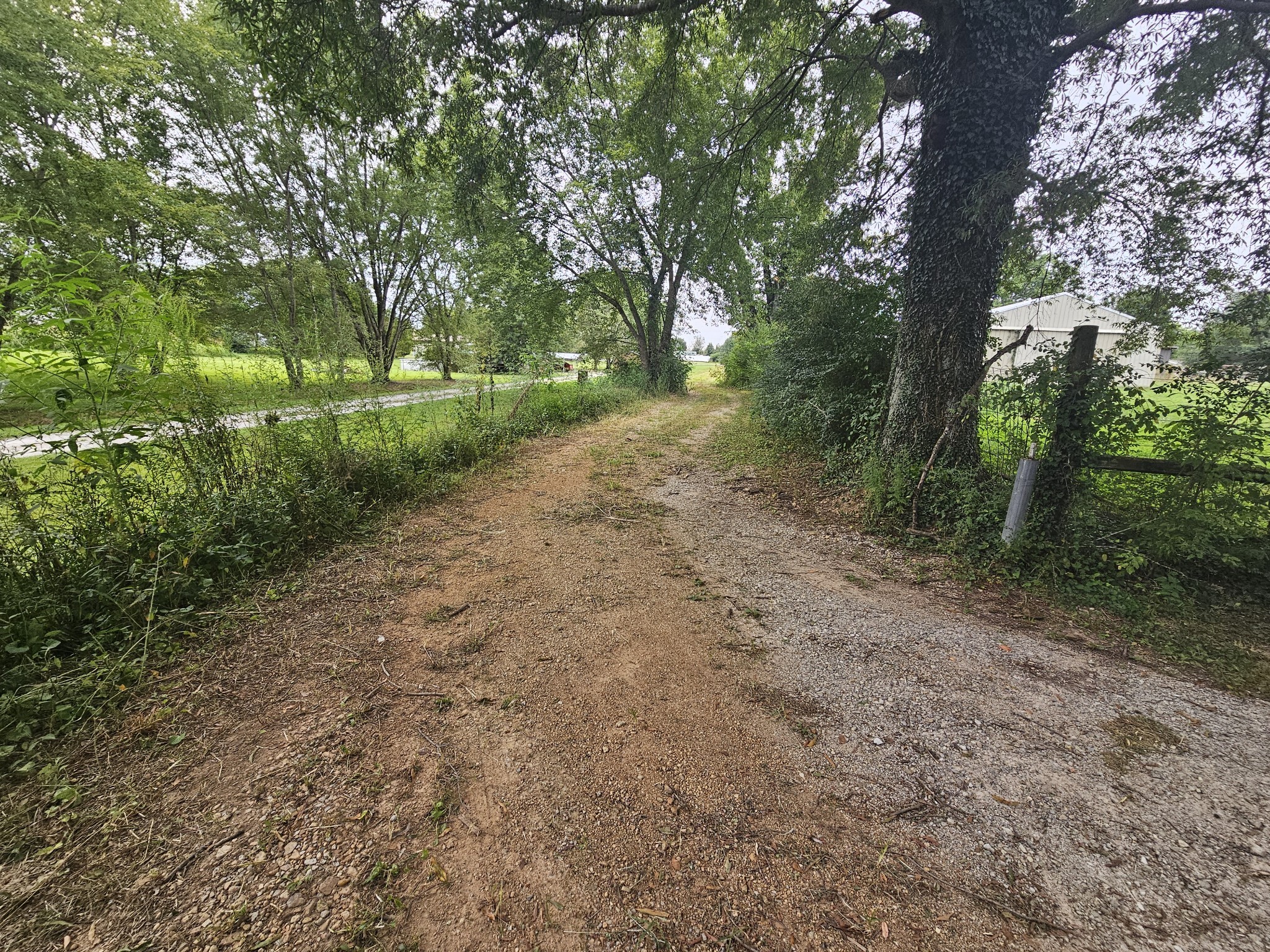677 Howell Hill Road Flintville, TN 37335 - Photo 12 of 16 a view of a forest with trees