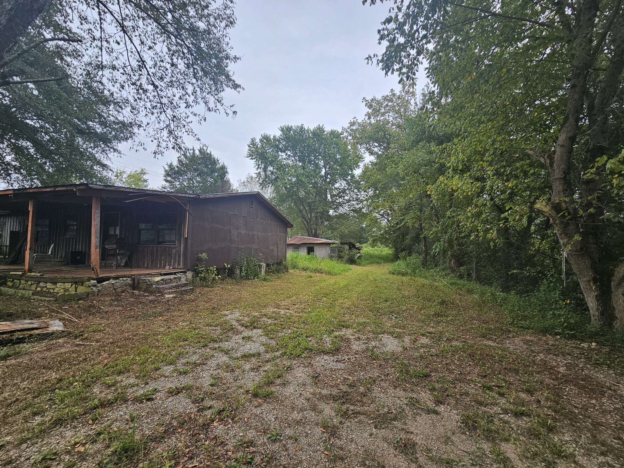 677 Howell Hill Road Flintville, TN 37335 - Photo 6 of 16 a view of a house with yard and a tree
