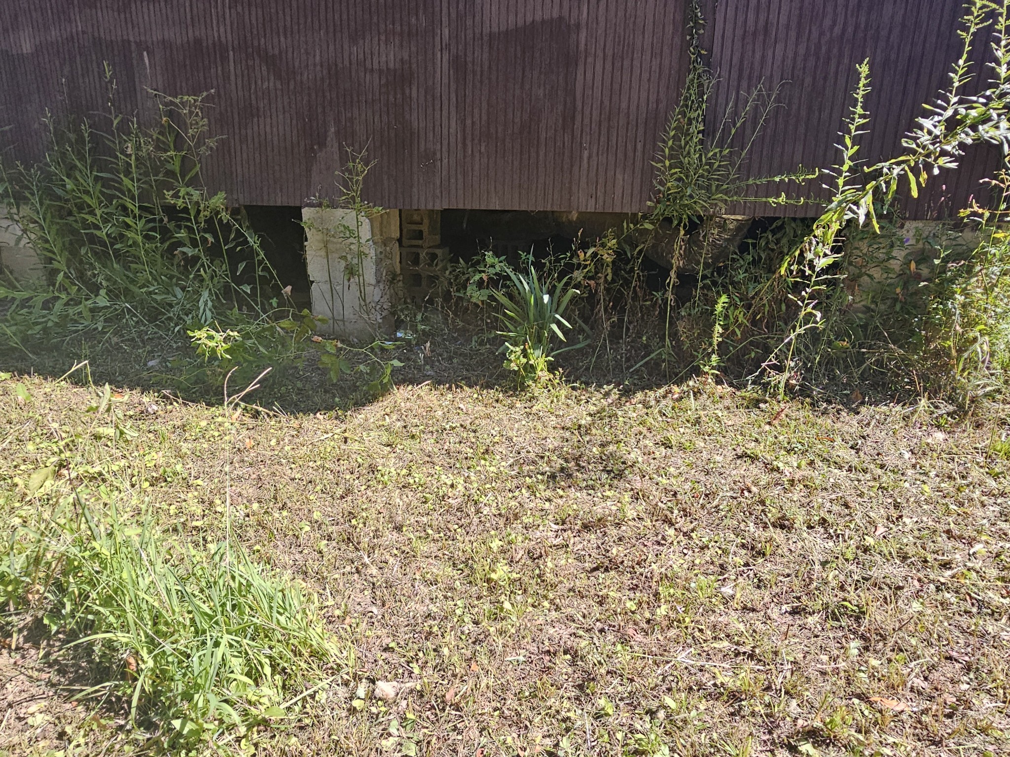 677 Howell Hill Road Flintville, TN 37335 - Photo 7 of 16 a view of a backyard of the house