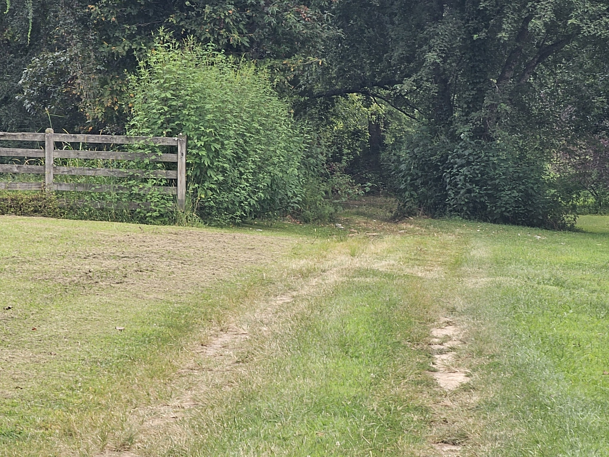 677 Howell Hill Road Flintville, TN 37335 - Photo 9 of 16 a view of a yard with wooden fence
