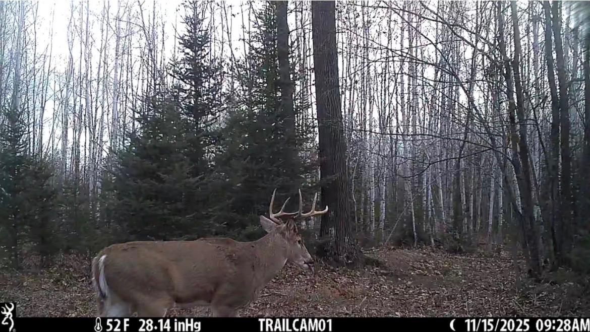Red Hickory Road Eland, WI 54427 - Photo 27 of 28