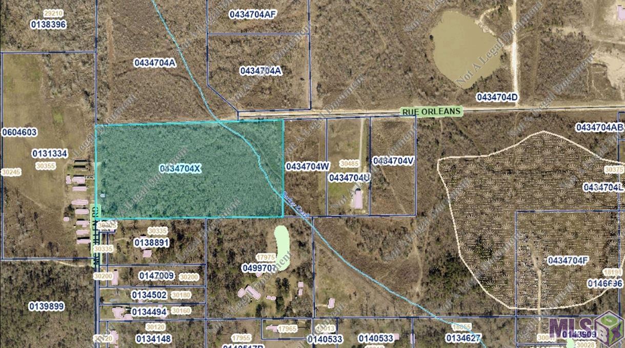 0 Rue Orleans Road Albany, LA 70711 - Photo 2 of 3