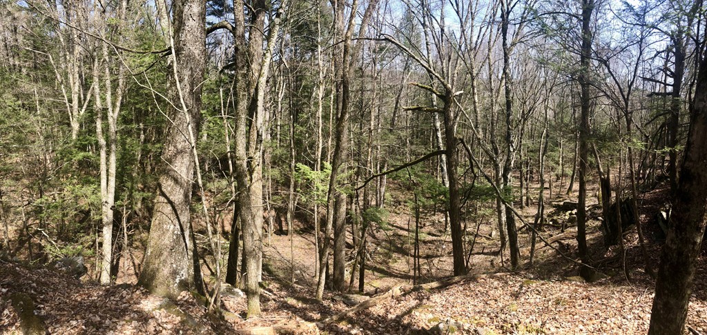 0 Mount Road Cummington, MA 01026 - Photo 15 of 22 Gallery Image 15