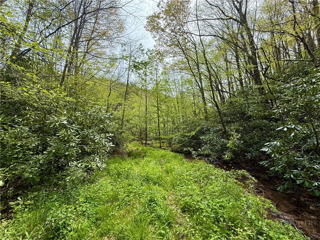 Greer Town Road Lansing, NC 28643 - Photo 6 of 7