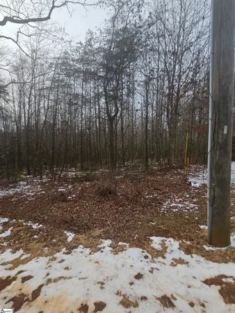 $225,000 | 0 Chandler Road, Easley, SC 29640