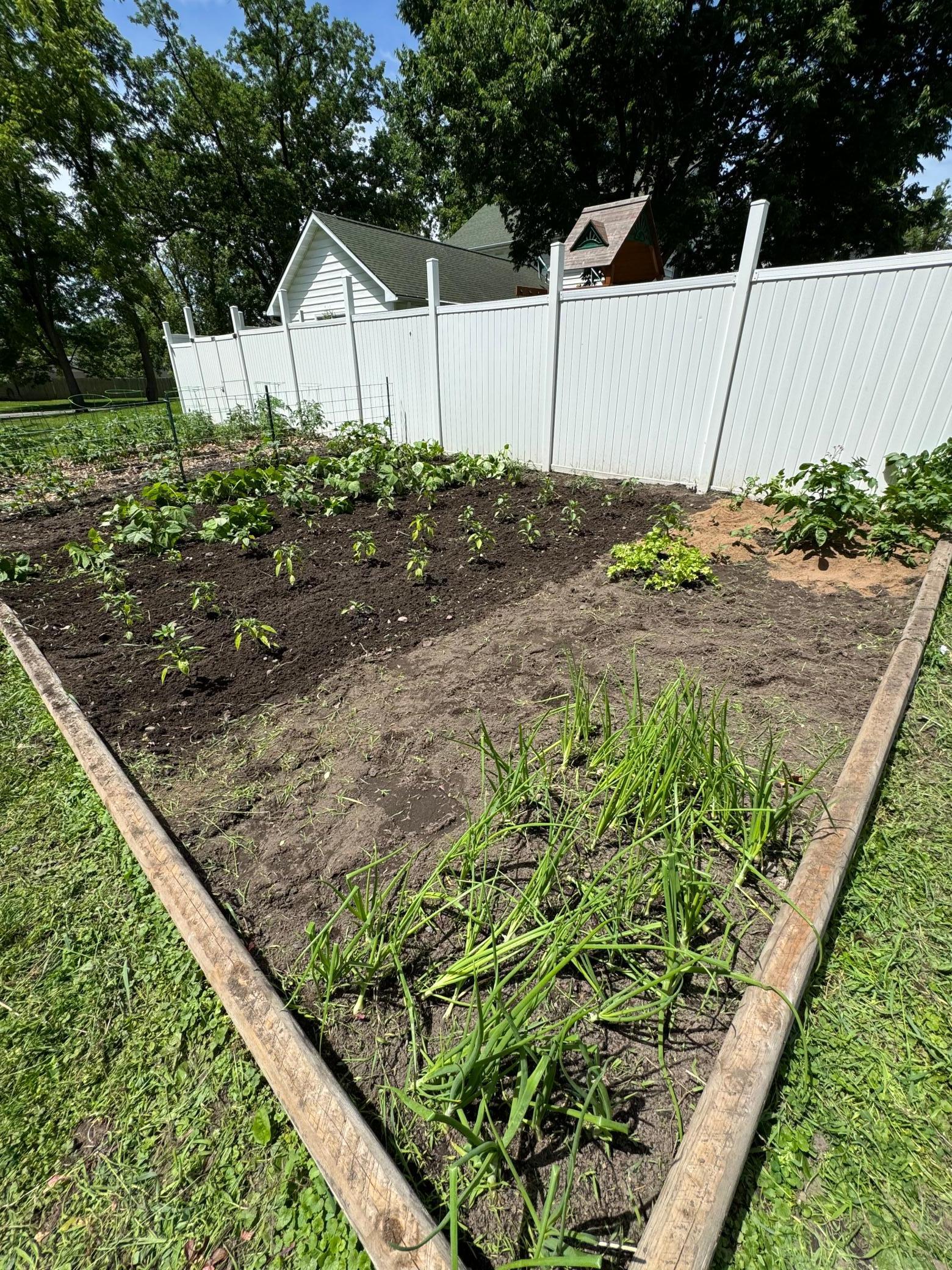 330 Watkins Street Mora, MN 55051 - Photo 19 of 22