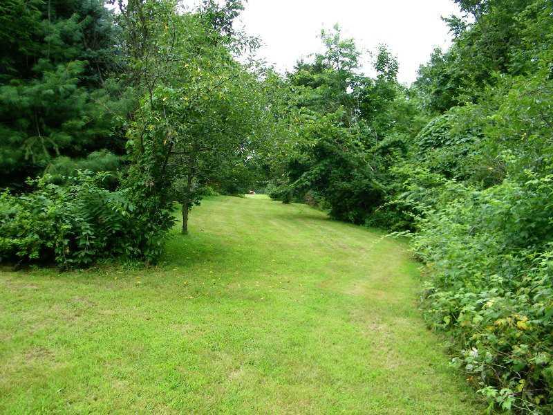 738 Frankfort Road Monaca, PA 15061 - Photo 21 of 25 Yard/Garden.