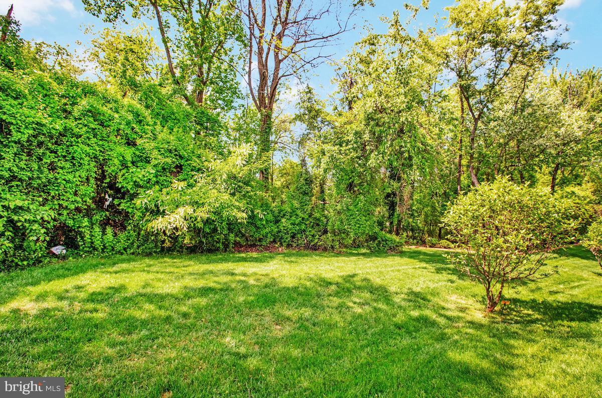 812 Phyllis Street Odenton, MD 21113 - Photo 51 of 53 Back Yard