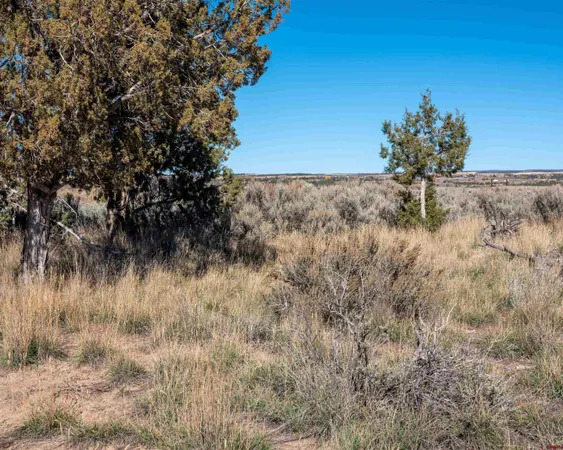 a view of a pathway with a wrought fence