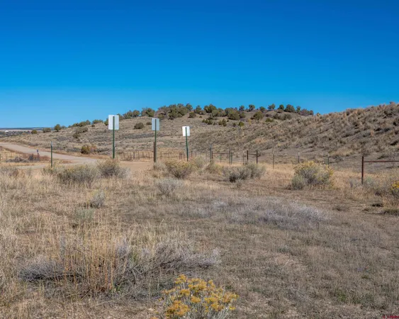 a view of a dry yard with trees in the background