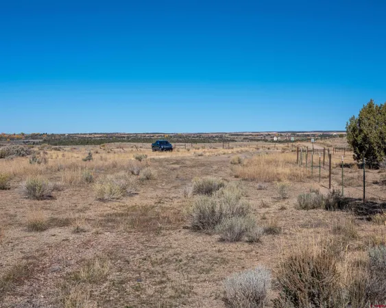 a view of an ocean beach