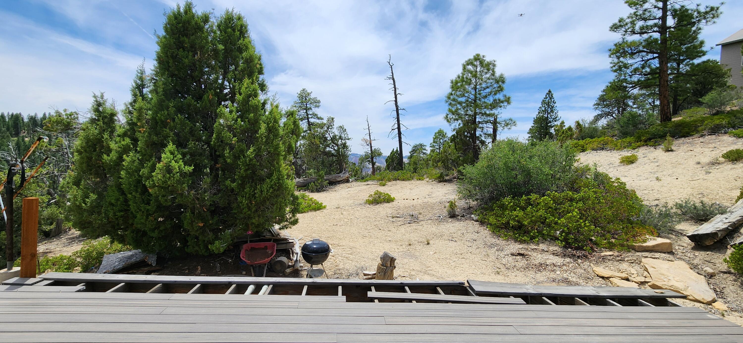 11685 Fir Road Orderville, UT 84758 - Photo 53 of 65 20250601_141505