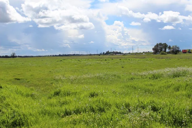 a view of yard with green space