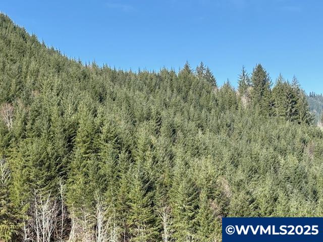 0 Logsden Road Blodgett, OR 97326 - Photo 5 of 24