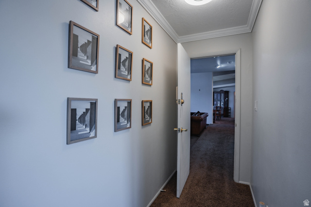 980 Cactus Circle St. George, UT 84790 - Photo 45 of 77 Hall with dark colored carpet, a textured ceiling, and crown molding