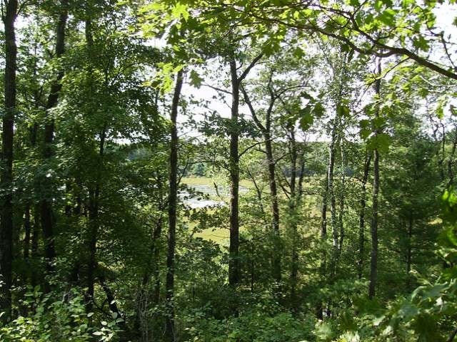 Lot 18 Finch Road Lake Tomahawk, WI 54539 - Photo 9 of 9 Gallery Image 9