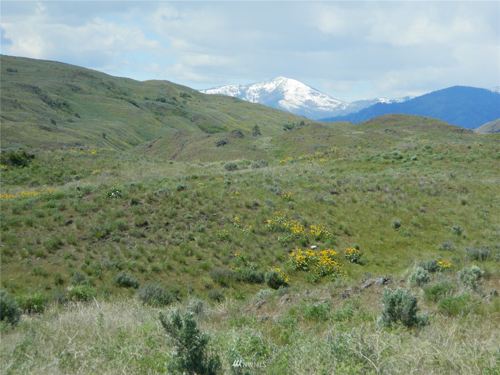 0 Evans Lake Road Riverside, WA 98849 - Photo 1 of 19 a view of a lush green hillside and a houses