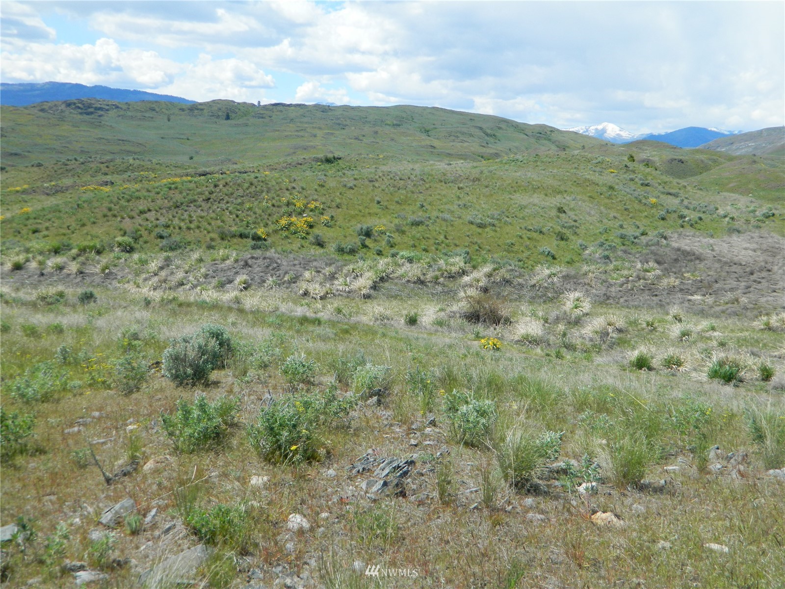 0 Evans Lake Road Riverside, WA 98849 - Photo 13 of 19 a view of a field with an trees