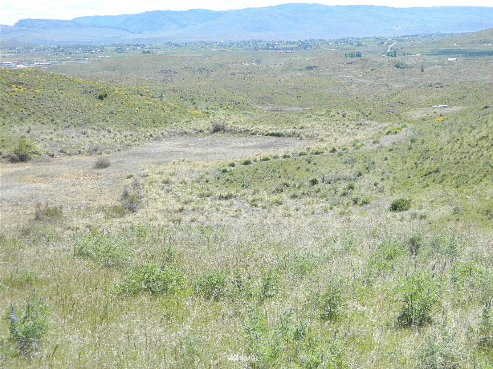 0 Evans Lake Road Riverside, WA 98849 - Photo 15 of 19 a view of a big yard with space and mountain view