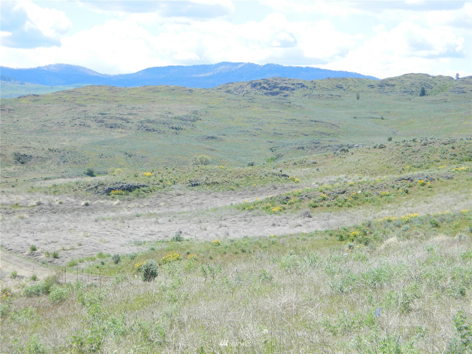 0 Evans Lake Road Riverside, WA 98849 - Photo 16 of 19 a view of a large mountain with mountains in the background