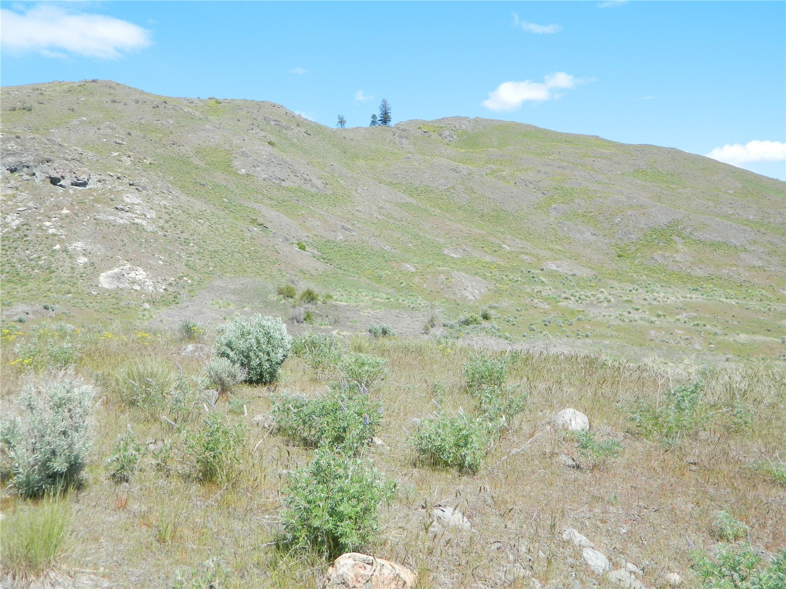 0 Evans Lake Road Riverside, WA 98849 - Photo 17 of 19 a view of a dry yard