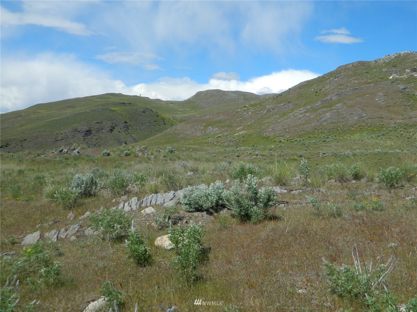 0 Evans Lake Road Riverside, WA 98849 - Photo 18 of 19 a view of a mountain range with trees