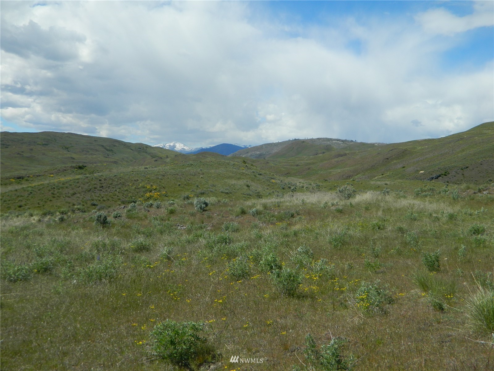 0 Evans Lake Road Riverside, WA 98849 - Photo 19 of 19 a view of a mountain range with lush green forest