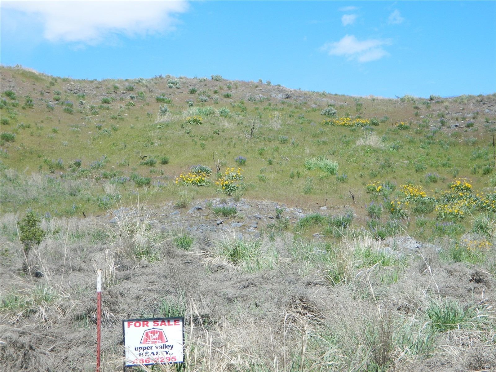 0 Evans Lake Road Riverside, WA 98849 - Photo 2 of 19 a view of a dry field with mountains in the background