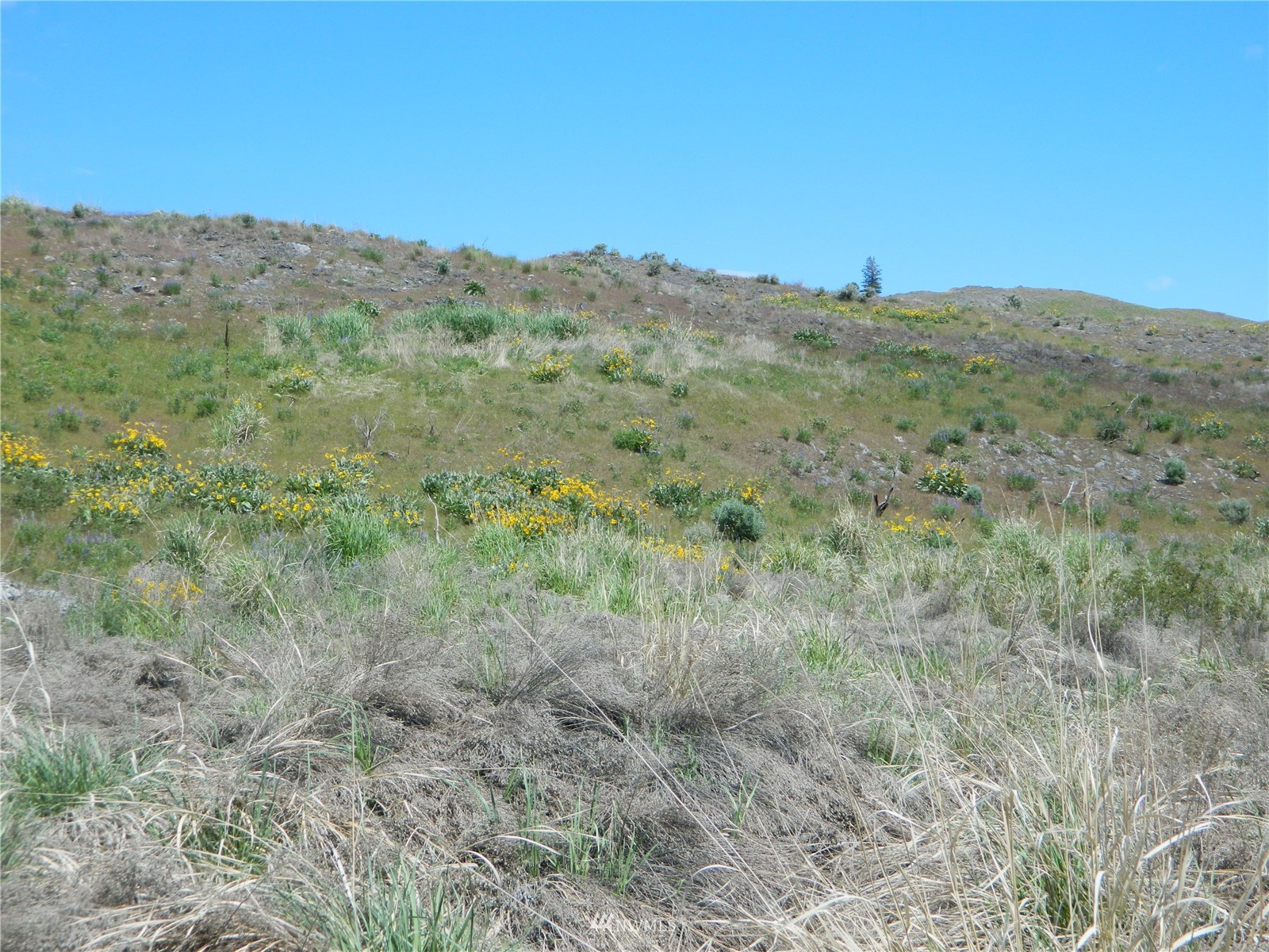 0 Evans Lake Road Riverside, WA 98849 - Photo 3 of 19 a view of a dry field