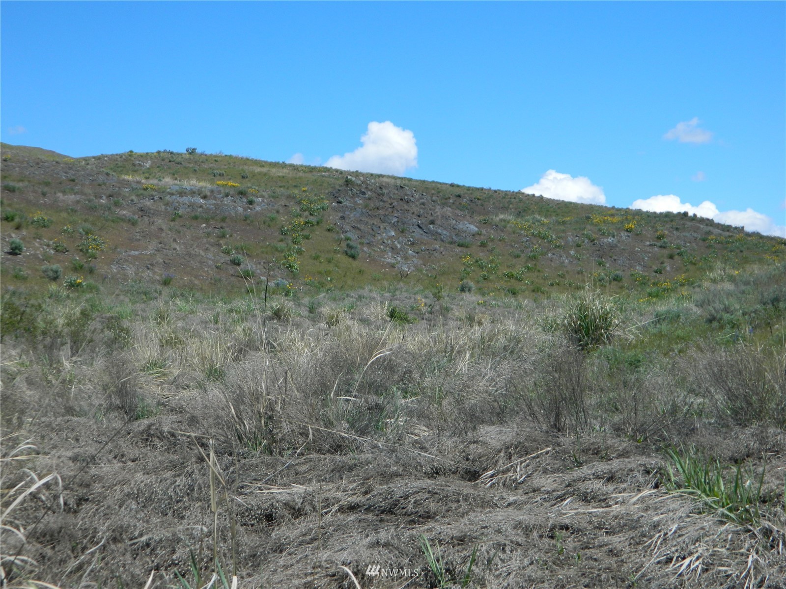 0 Evans Lake Road Riverside, WA 98849 - Photo 4 of 19 a view of a mountain in the distance tree