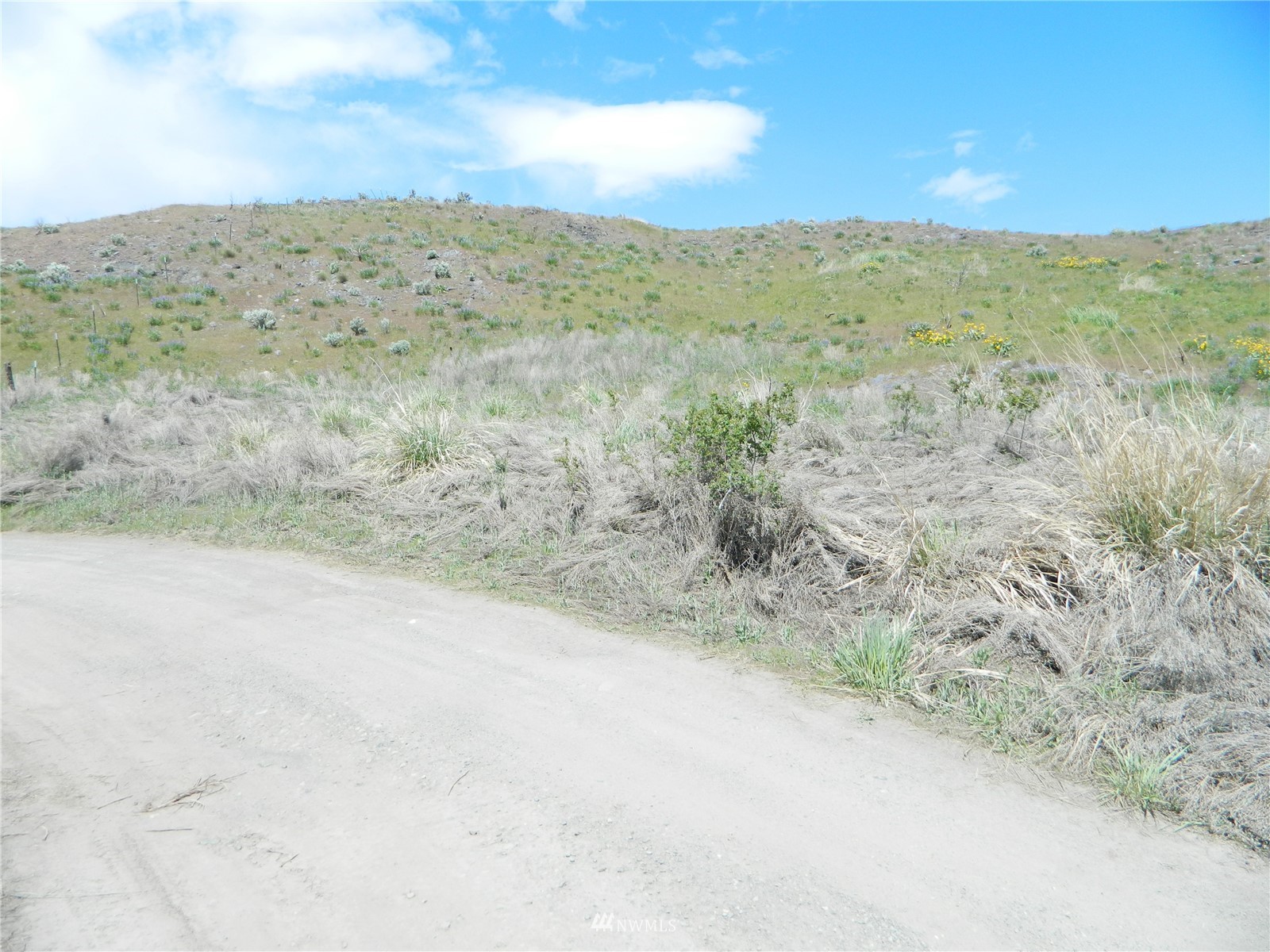 0 Evans Lake Road Riverside, WA 98849 - Photo 5 of 19 a view of a dry yard with mountains in the background
