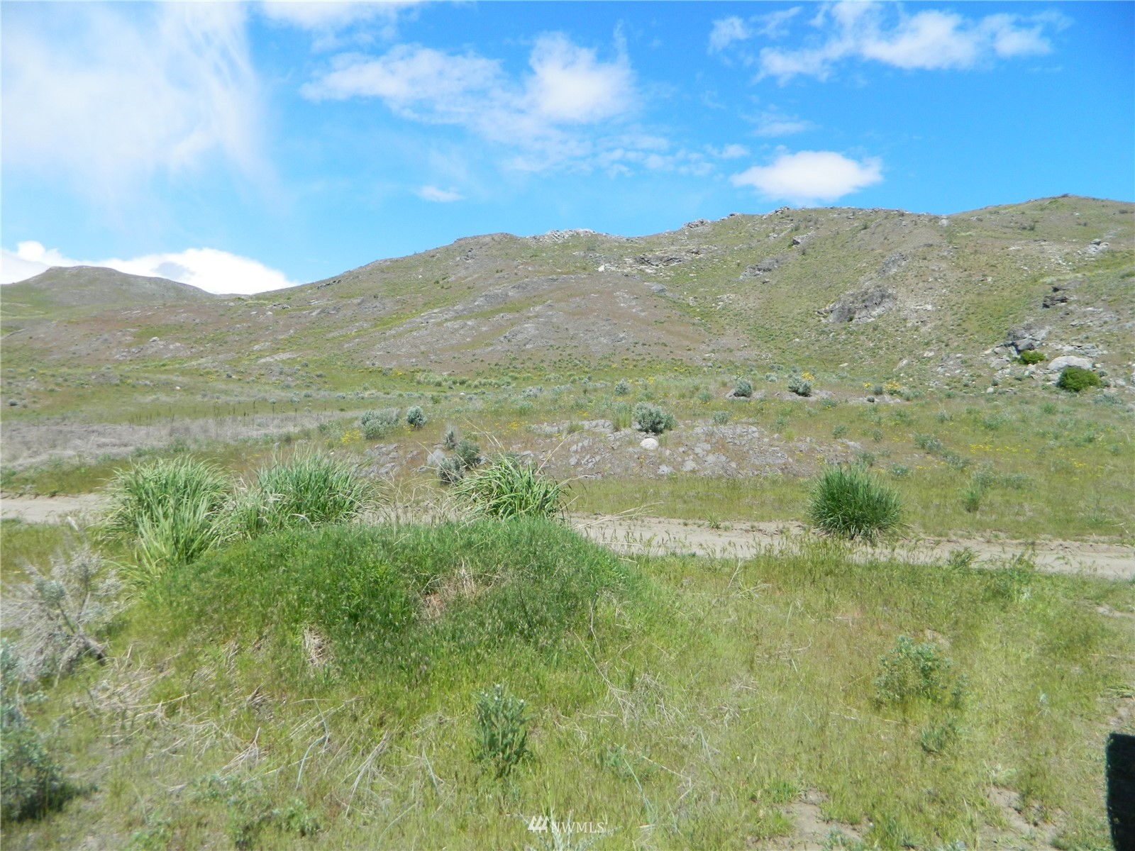 0 Evans Lake Road Riverside, WA 98849 - Photo 6 of 19 a view of a mountain range with lush green forest