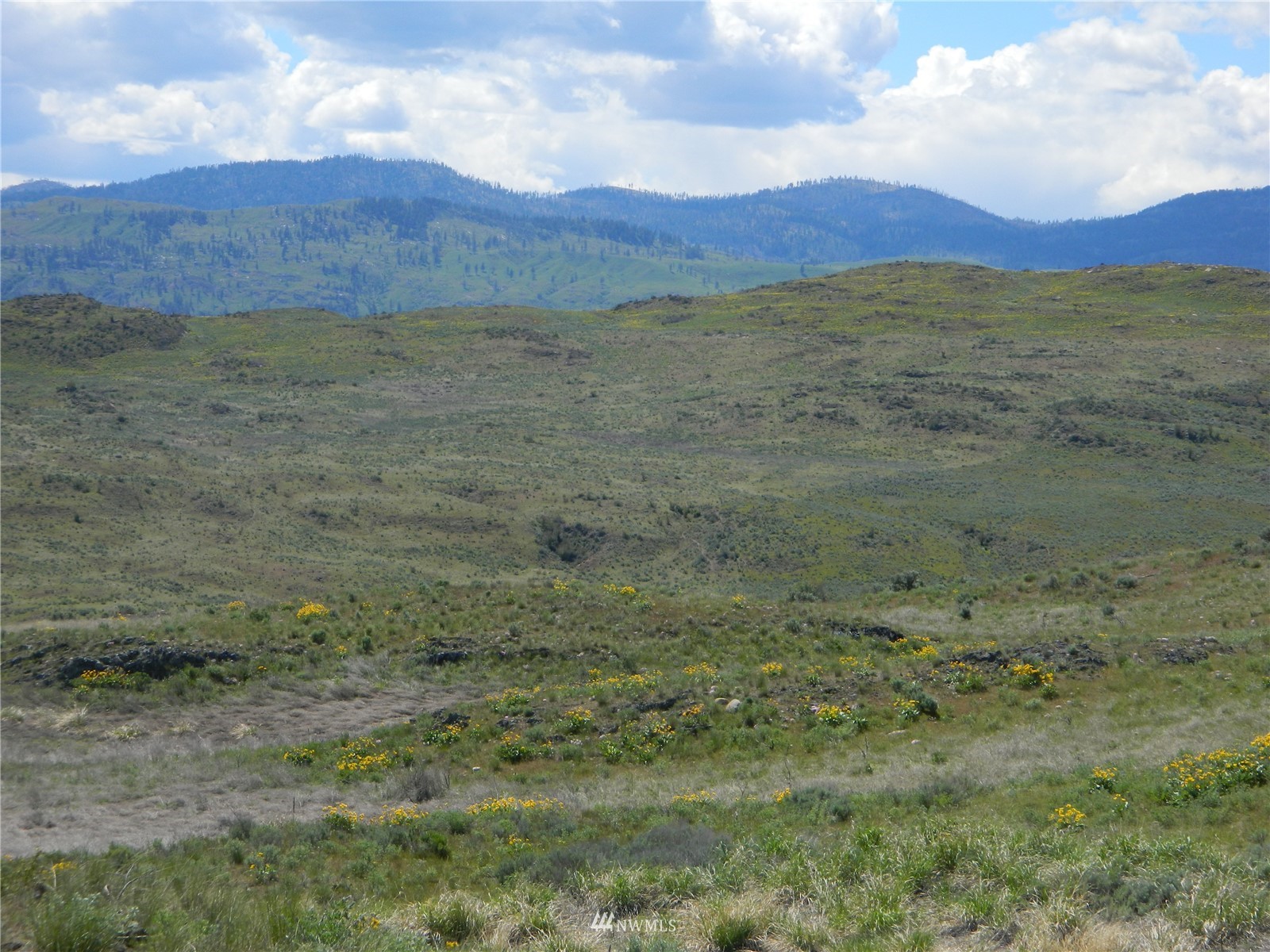 0 Evans Lake Road Riverside, WA 98849 - Photo 7 of 19 a view of mountain and an outdoor space
