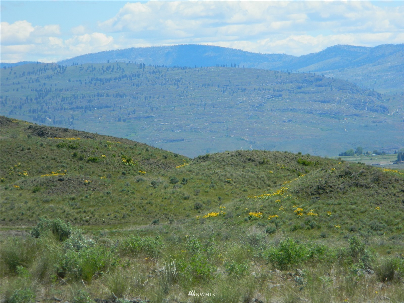 0 Evans Lake Road Riverside, WA 98849 - Photo 9 of 19
