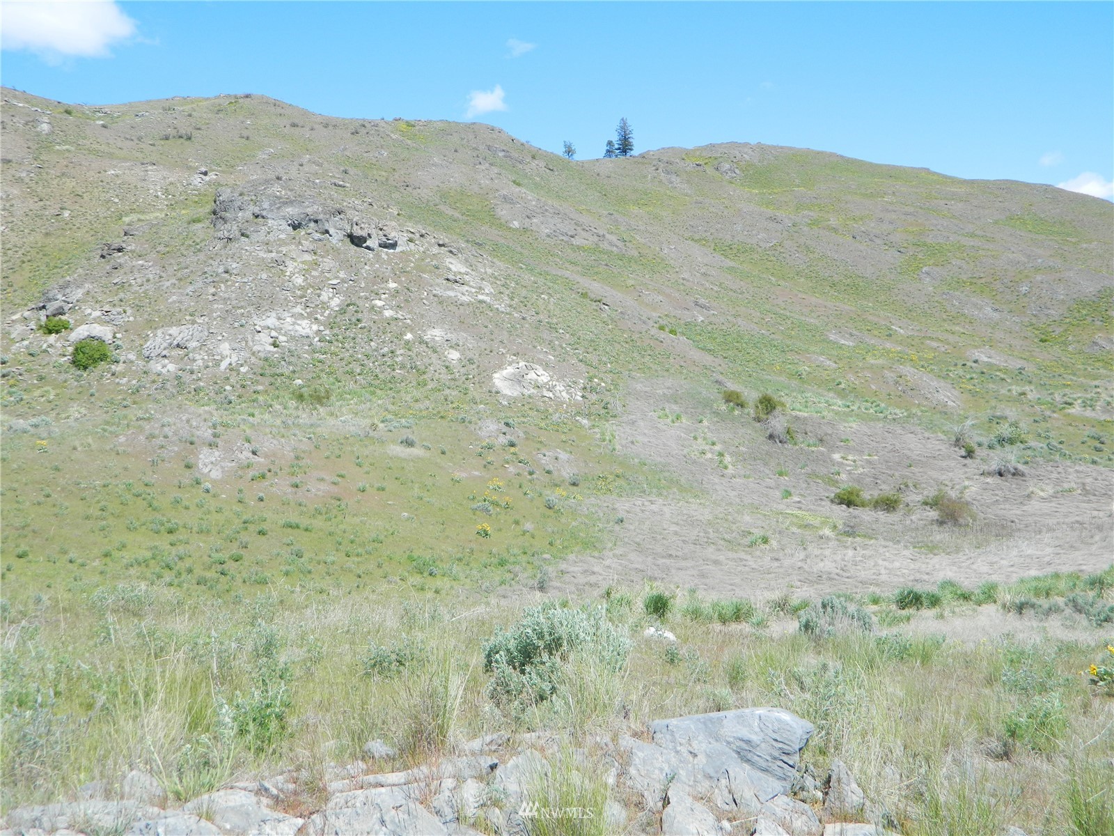 0 Evans Lake Road Riverside, WA 98849 - Photo 10 of 19 a view of a dry field