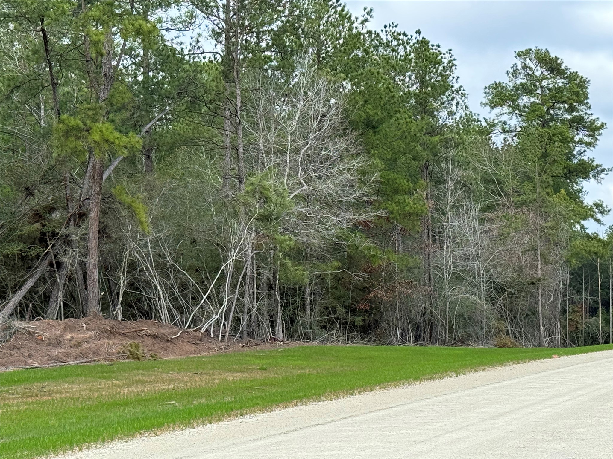 10621 Devotion Road Willis, TX 77378 - Photo 12 of 23