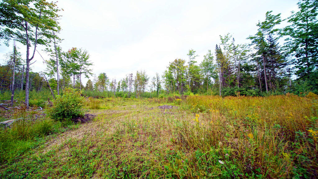 Lot 4 Callaghan Road Houlton, ME 04730 - Photo 12 of 23 davis-callaghan-rd-8