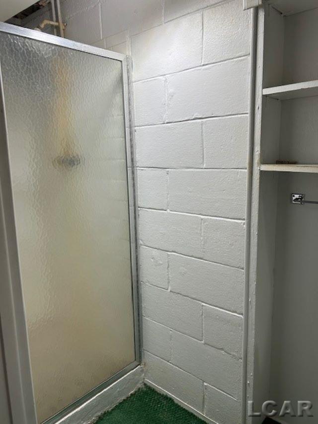 3846 Kaiser Road Tecumseh, MI 49286 - Photo 19 of 28 Basement Shower