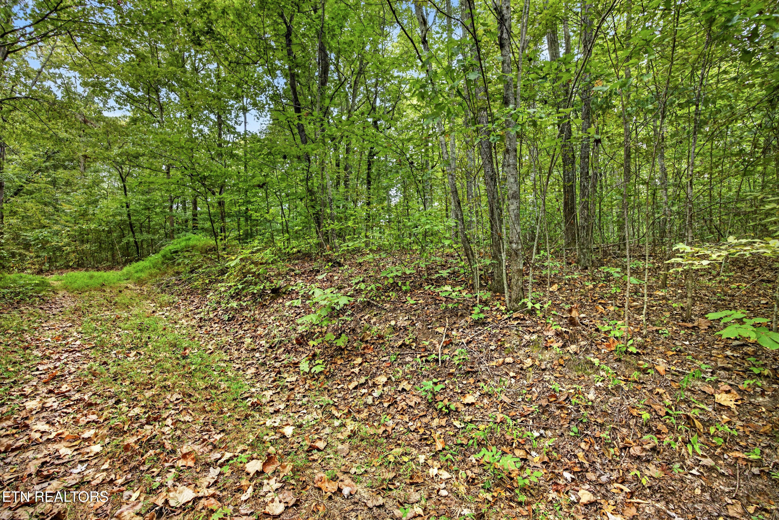 Lot 22 Timber Ridge Lane Celina, TN 38551 - Photo 9 of 12 9-8N5A6347