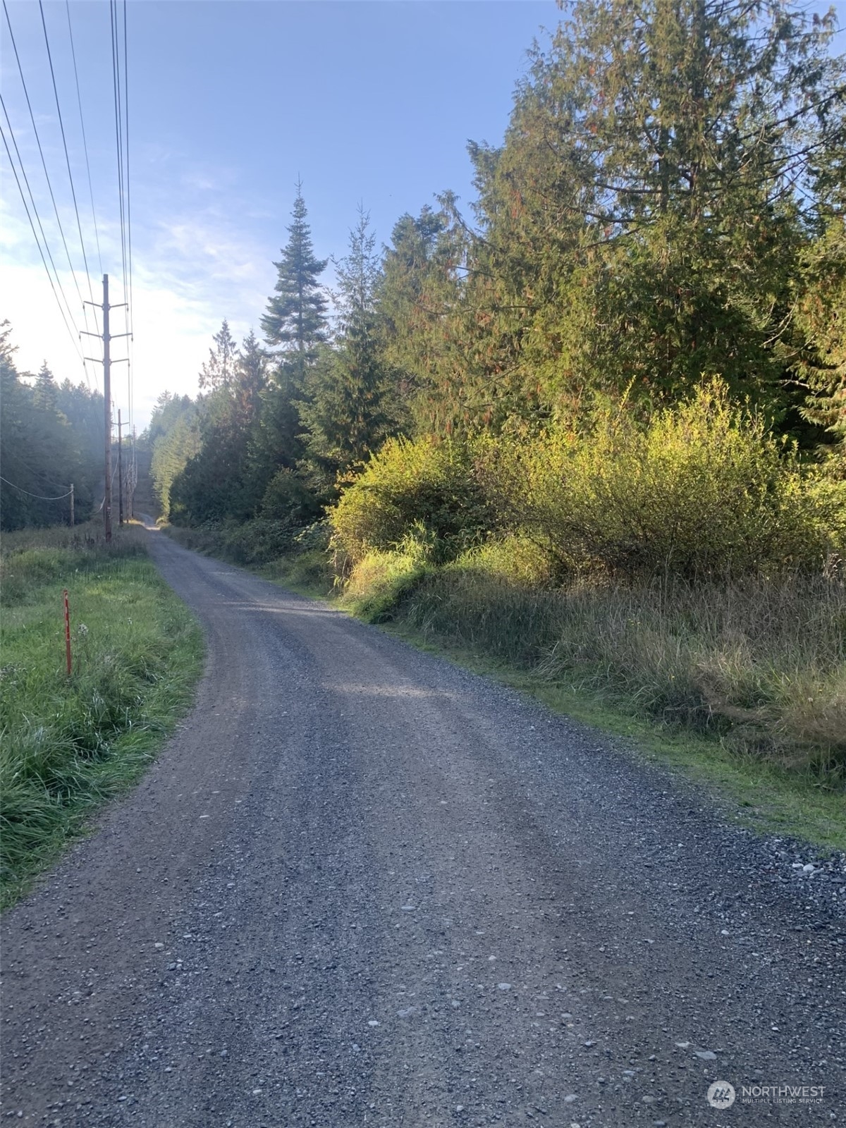 10 Harmon Ranch Road Anacortes, WA 98221 - Photo 6 of 6 a view of a yard with a tree