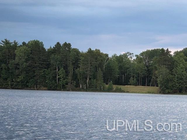Tbd 33rd (co Rd 442) Road Wetmore, MI 49895 - Photo 6 of 6