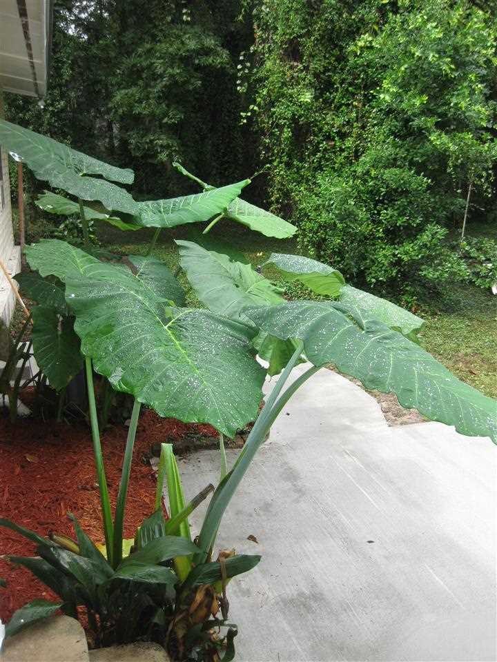 1400 Pullen Road Tallahassee, FL 32303 - Photo 6 of 19 Gallery Image 6