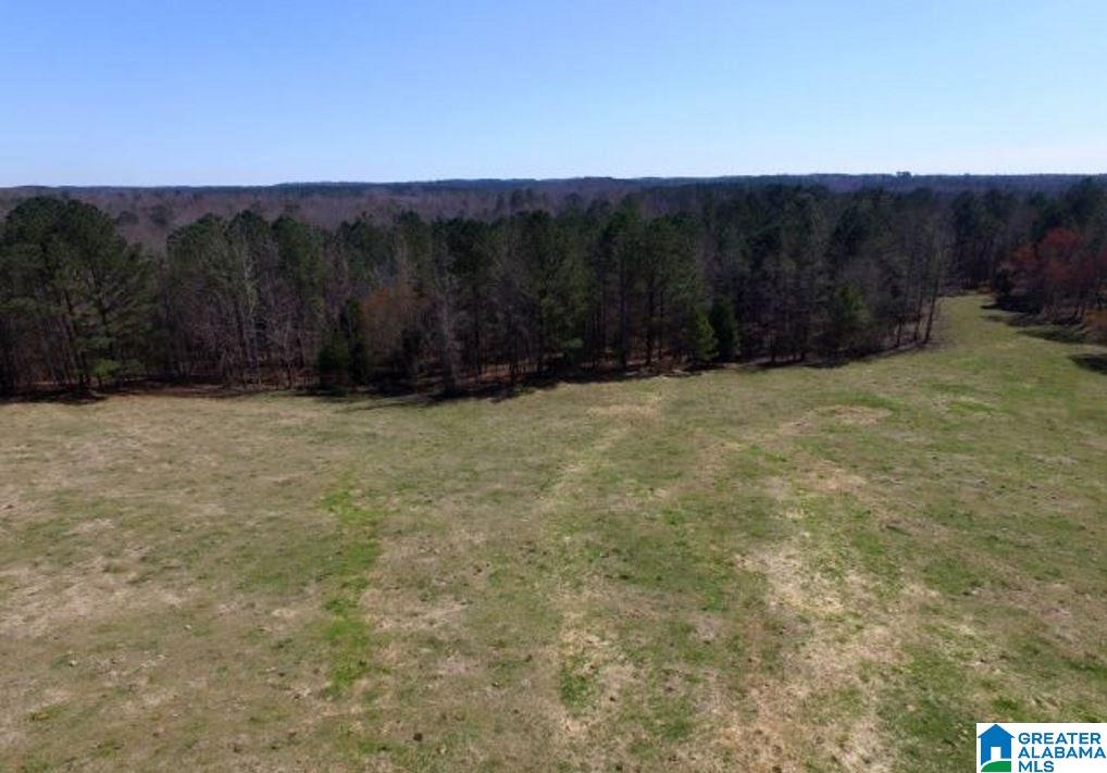 853 Bailey Road Cragford, AL 36255 - Photo 36 of 39