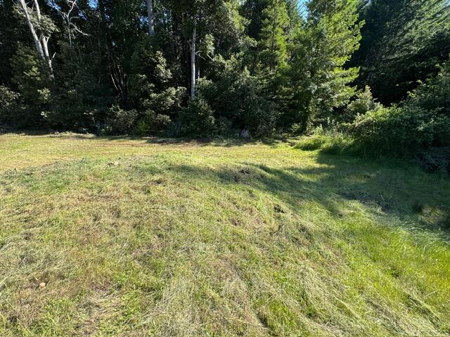 37430 Alderpoint Road Blocksburg, CA 95514 - Photo 9 of 18